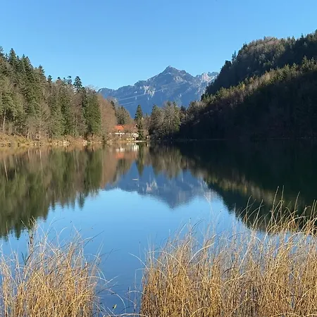 Διαμέρισμα Alpenliebe *