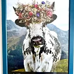 Apartman Alpenliebe